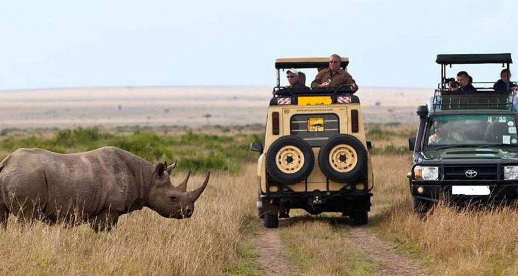 2 Safari Vehicle with Tourists taking pictures of a Rhino