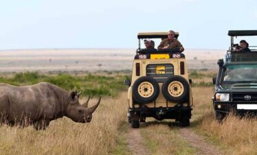 2 Safari Vehicle with Tourists taking pictures of a Rhino