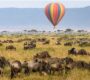 Hot Air Ballon over Zebra and Wildebeest