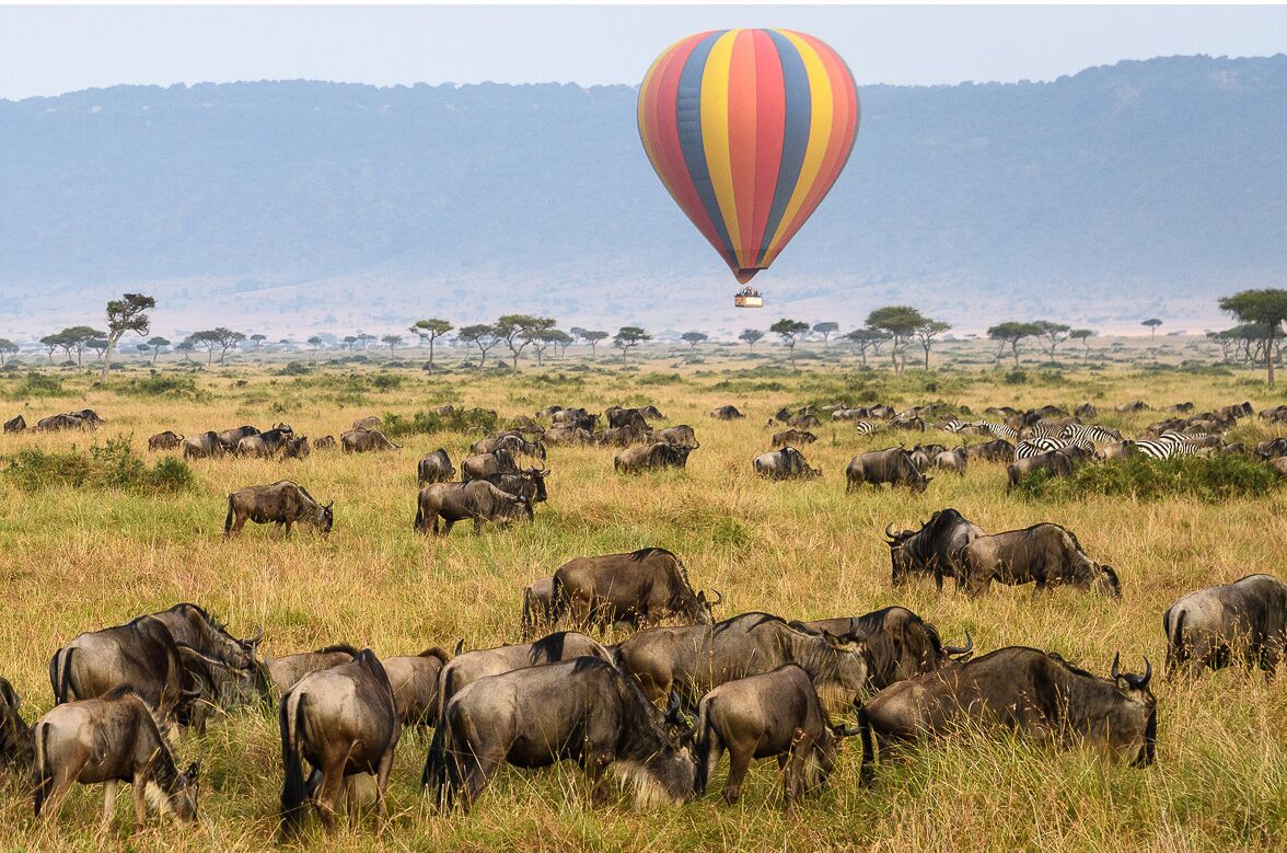 Hot Air Ballon over Zebra and Wildebeest