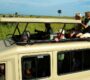 Tourists Viewing Wildlife through a Vehicle Pop Up roof