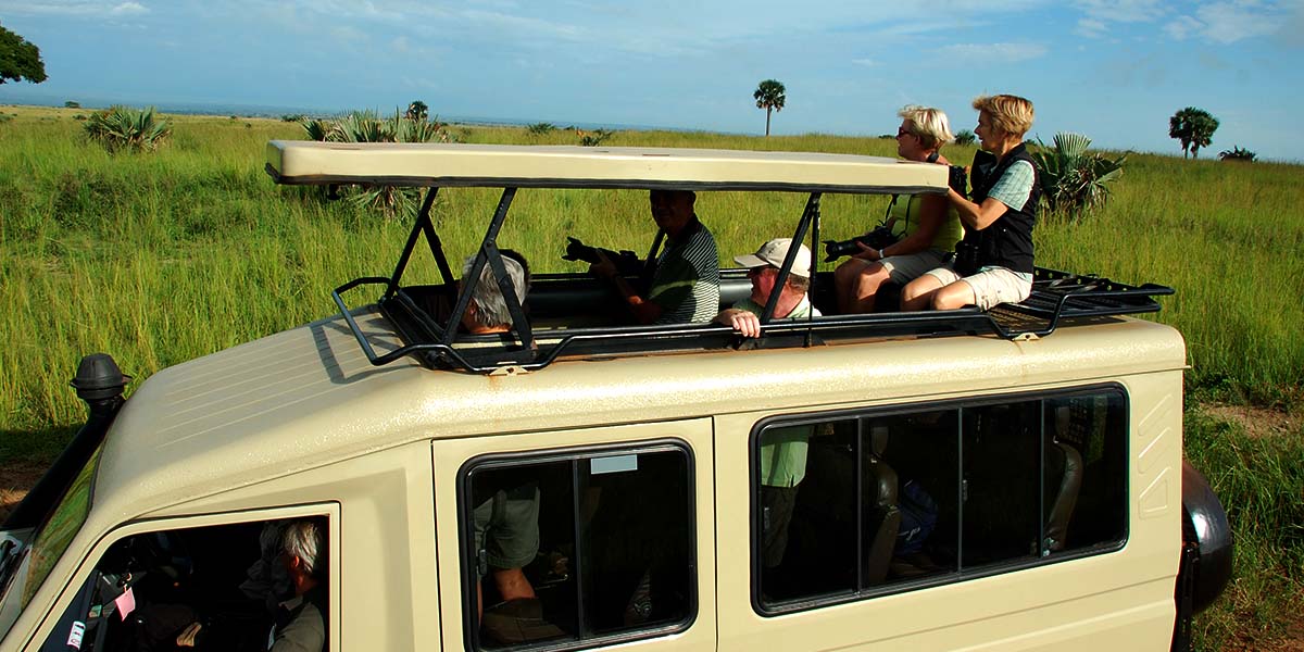 Tourists Viewing Wildlife through a Vehicle Pop Up roof