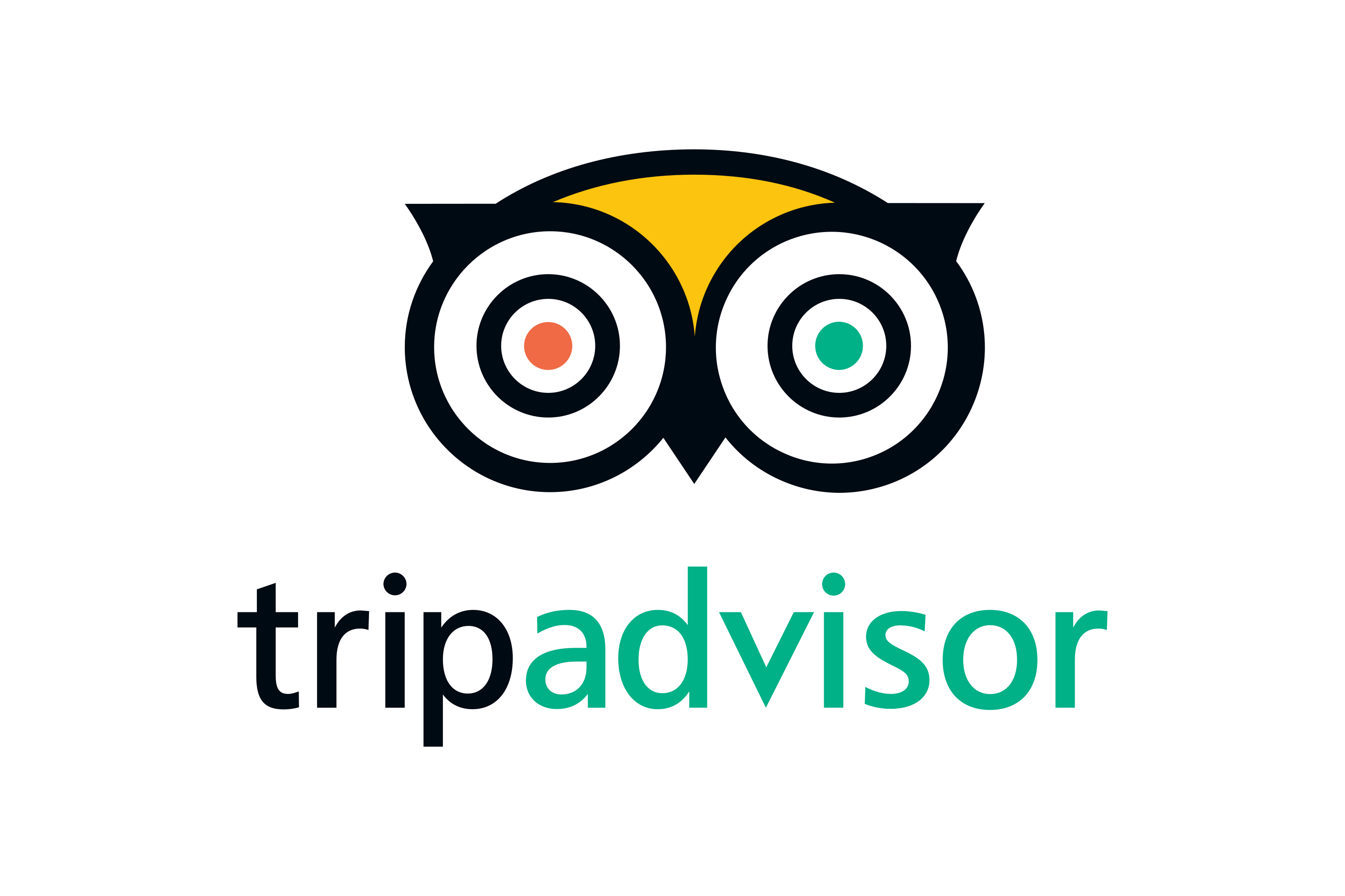 Trip Advisor Logo