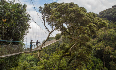 Nyungwe-Forest-Canopy-Walkway-Rwanda